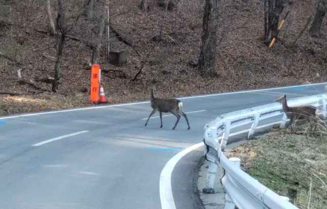 郊外道路